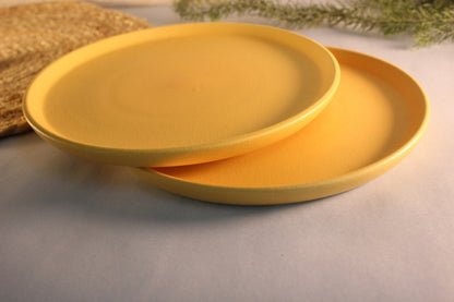 SUNNY SIDE UP- Set of 2 Ceramic Dinner Plates Yellow