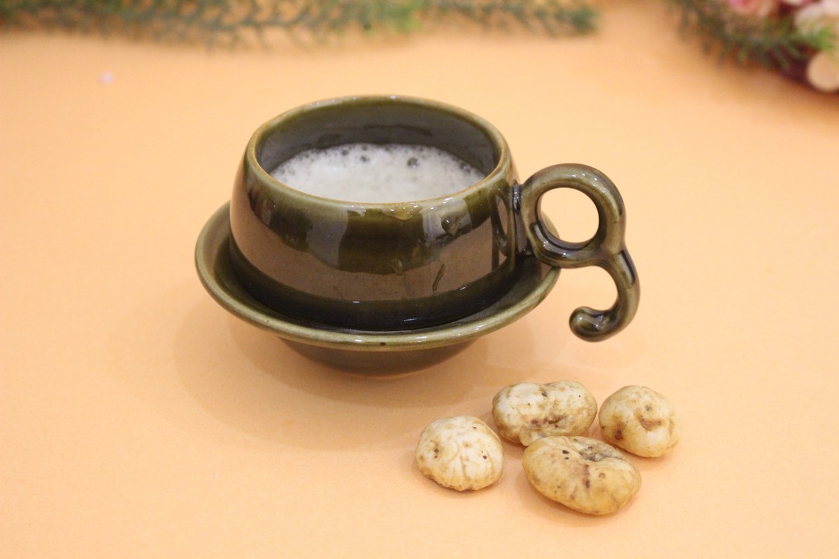 Chiraag- Ceramic Cup and Saucer Set in Mehendi Color