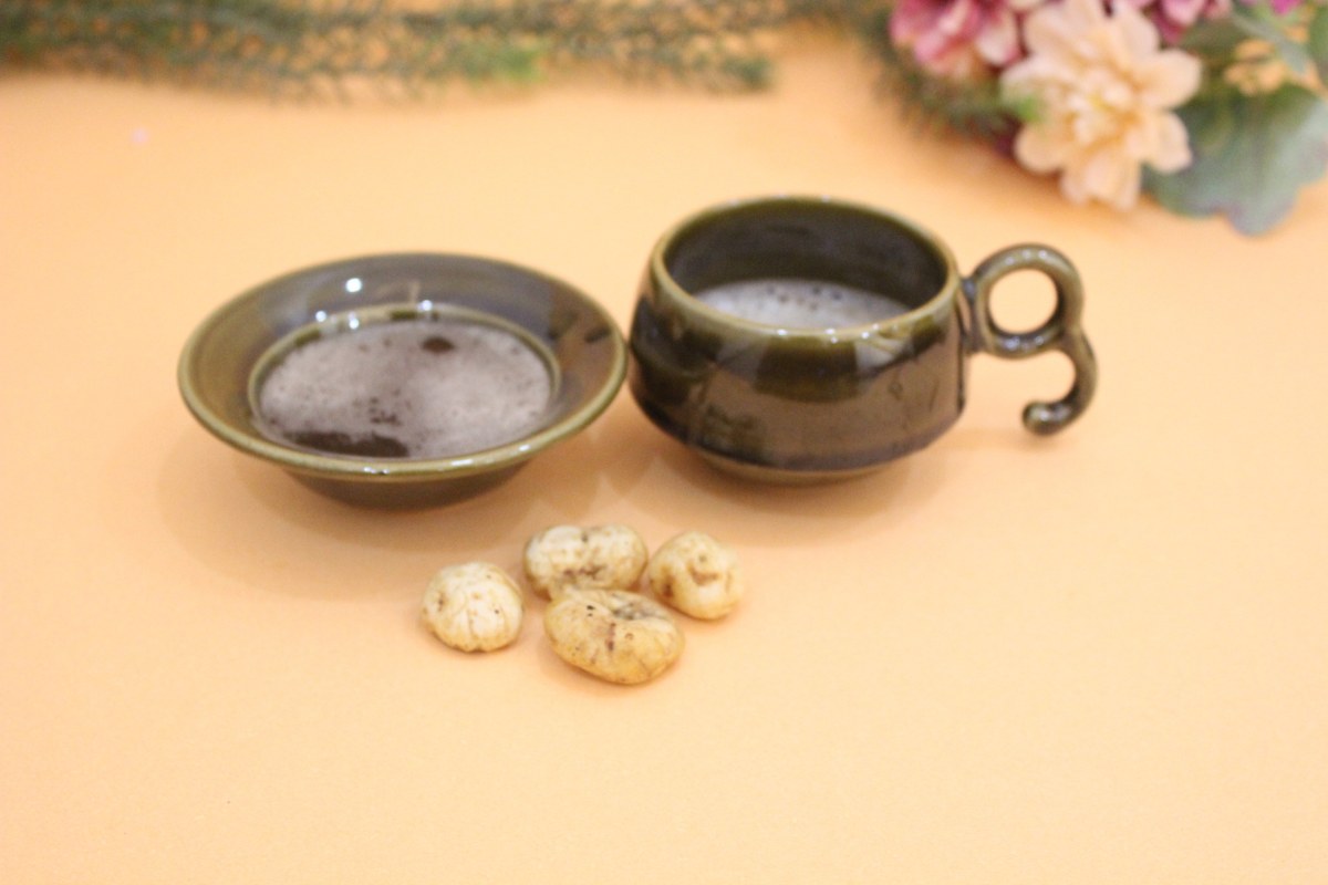 Chiraag- Ceramic Cup and Saucer Set in Mehendi Color